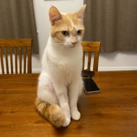 Photo of Lysandra And Aelin