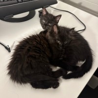 Photo of Jam And Toast