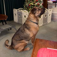 Photo of Ella & Angel