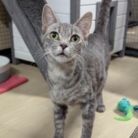Photo of Whisper