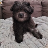 Photo of Jennika