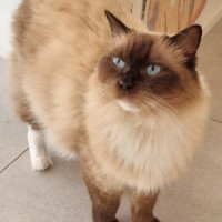Photo of Agatha