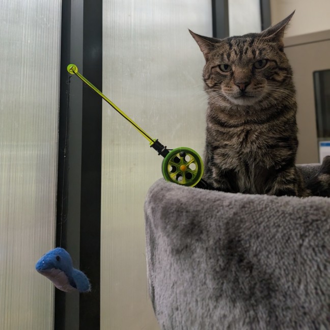 Photo of Jeremy Wade