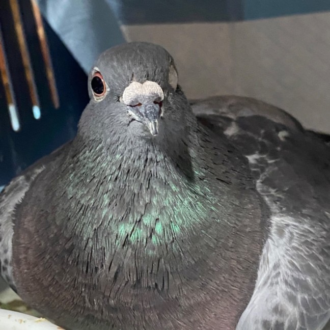 Photo of Careless Whisper 