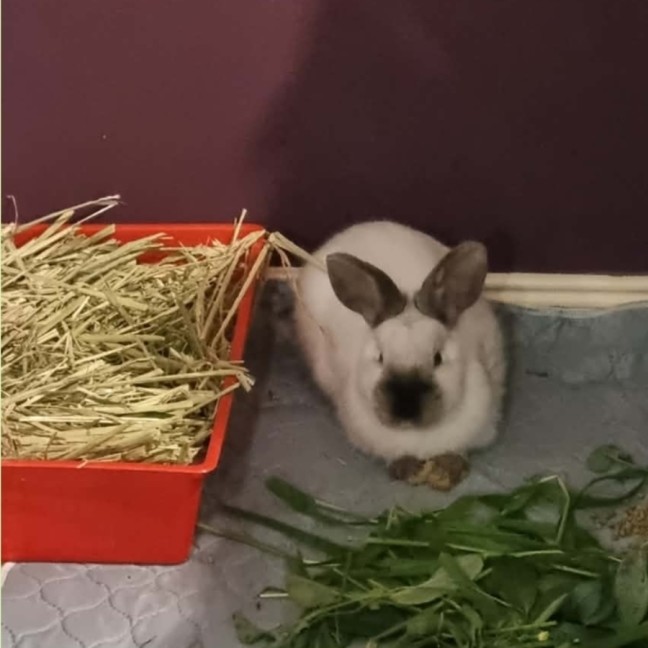 Photo of Rupert