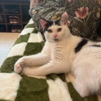 Photo of Gus