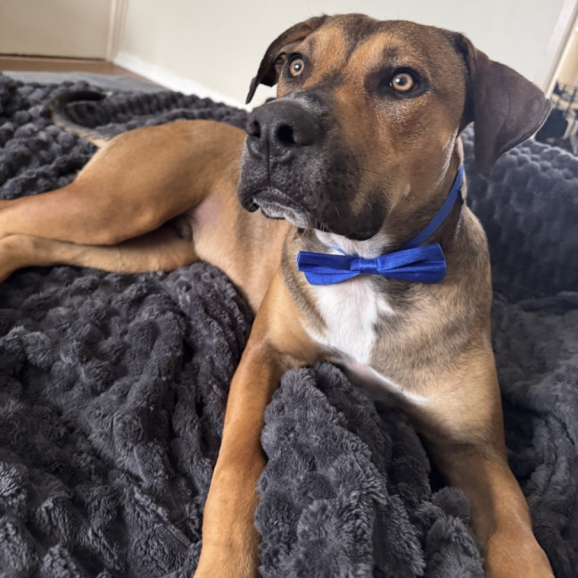 Photo of Buddy