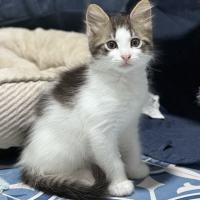 Photo of Pud
