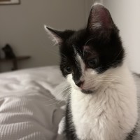 Photo of Willy Wobbla