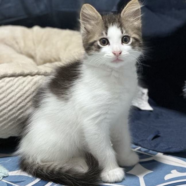 Photo of Pud