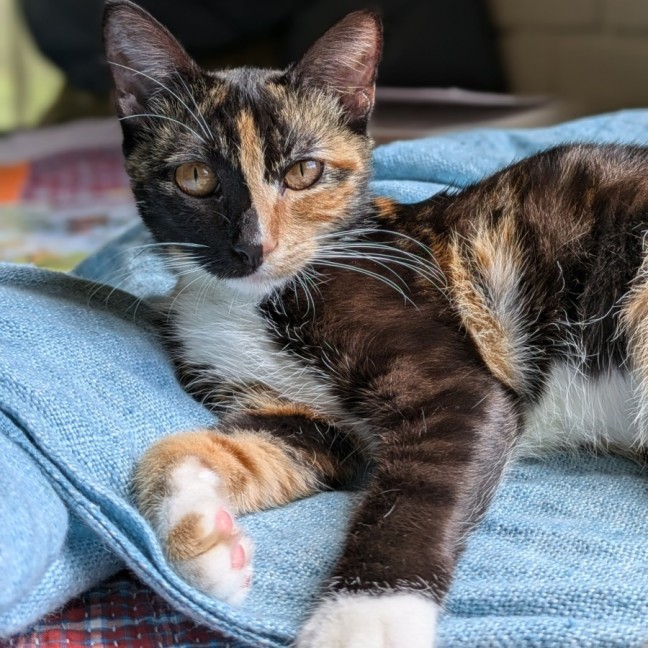 Photo of Lucy