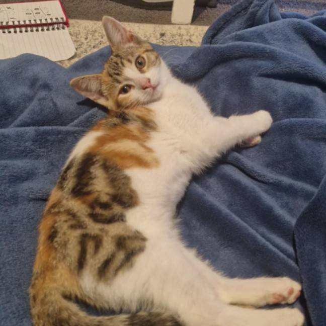 Photo of Lila 🌈☀️