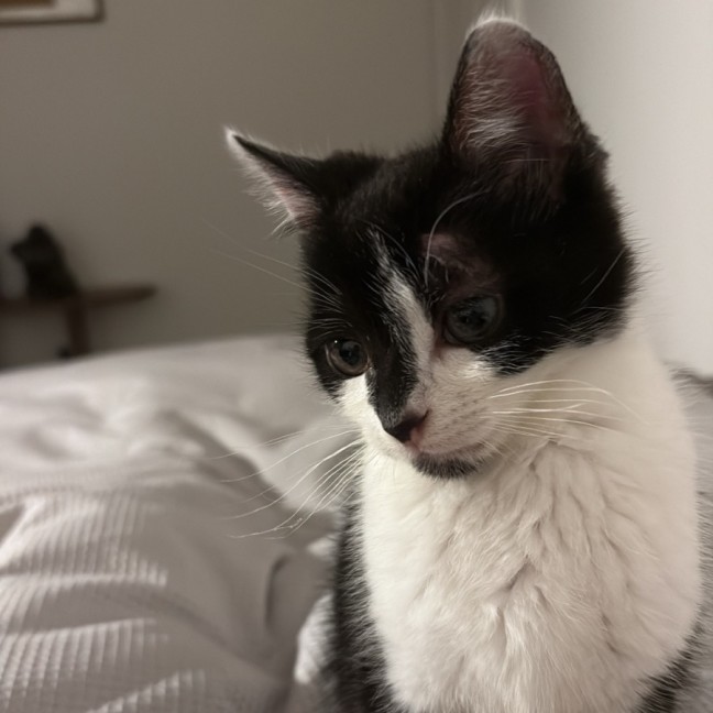 Photo of Willy Wobbla