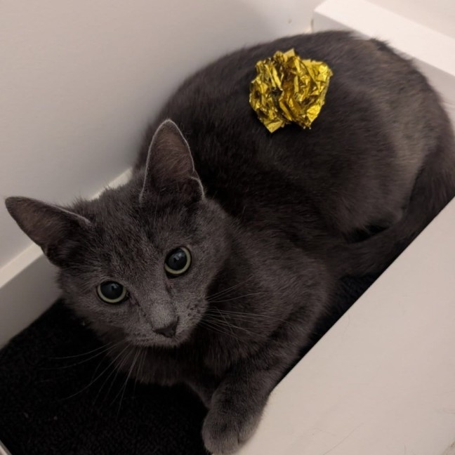 Photo of Tim Tam