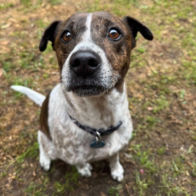 Photo of Pat In The Hat