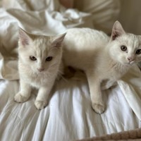 Photo of Rumi & Finn