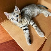 Photo of Splash And Shiny 