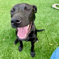 Photo of D1043 Milla 