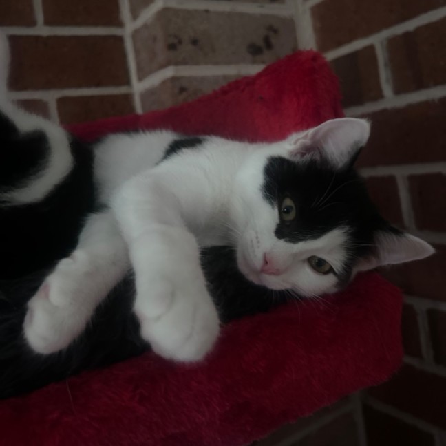 Photo of Parkway 💕