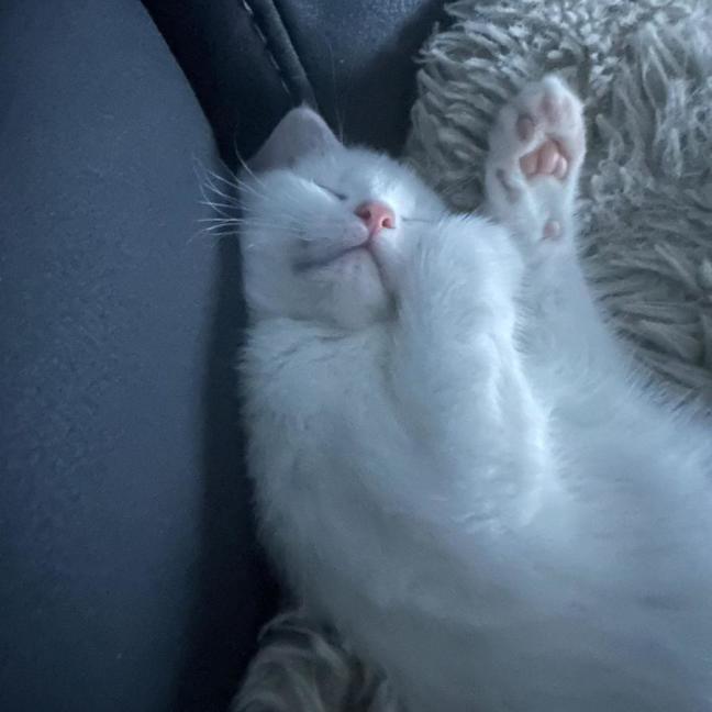Photo of Olaf