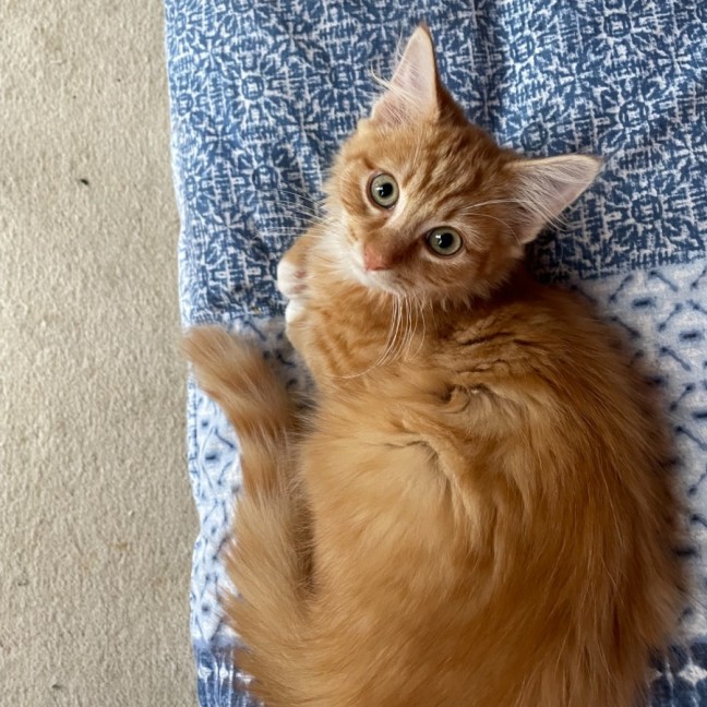 Photo of Tobias 💙