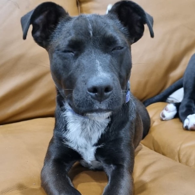 Photo of Hazel