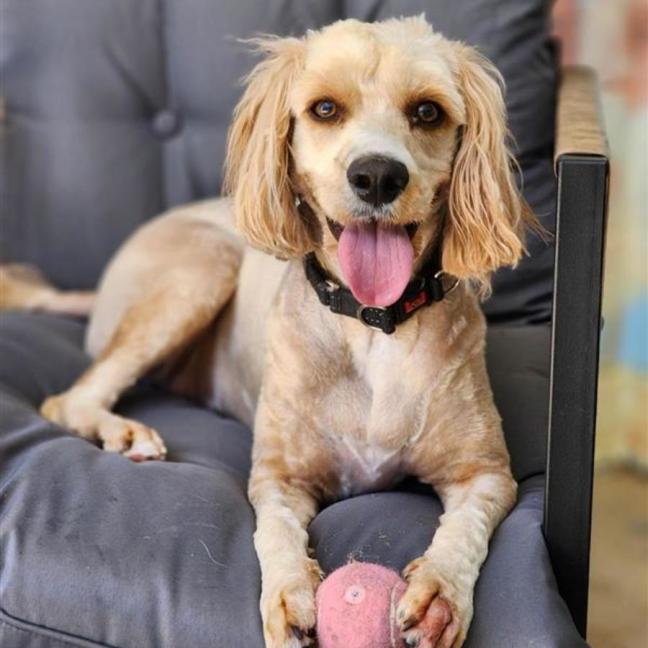 Photo of 🐝 Charlie 6852 🐝