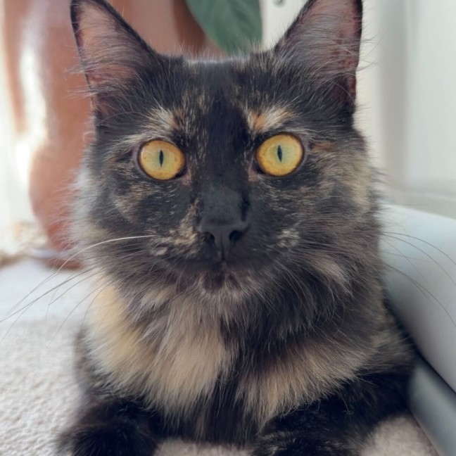 Photo of Amy