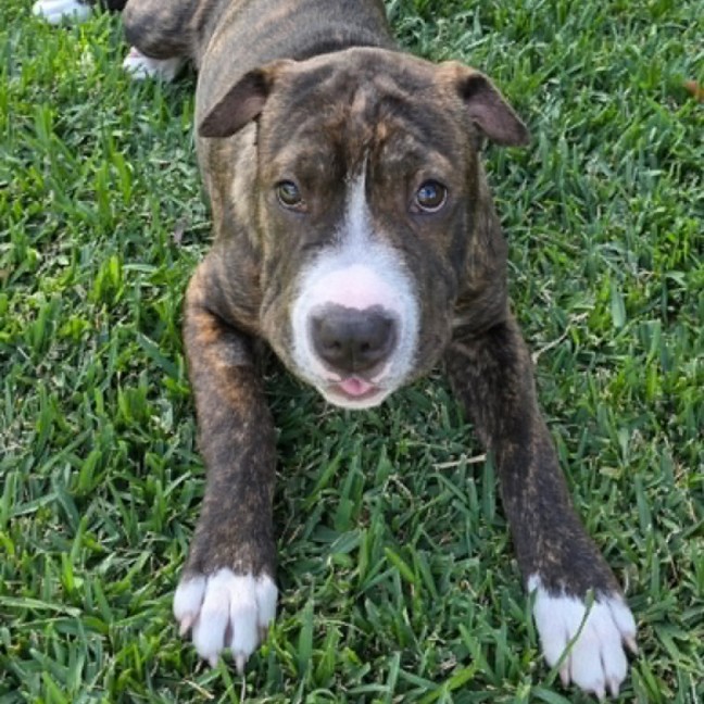 Photo of Chloe