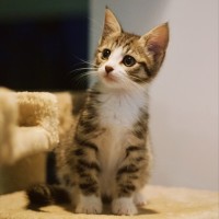 Photo of ☀️ Somersby ☀️