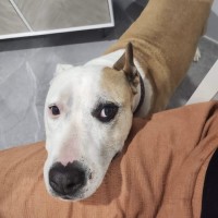 Photo of Holly