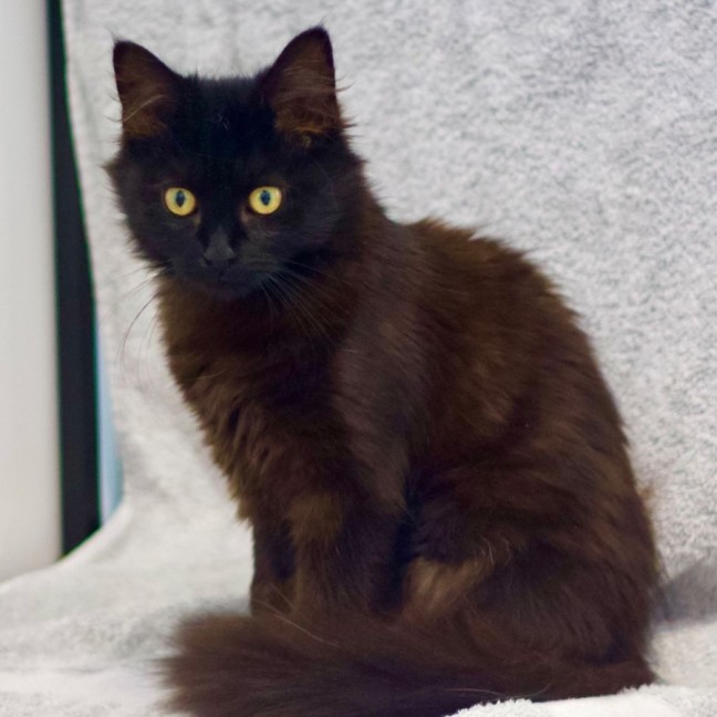 Photo of 💖 Mavis 💖