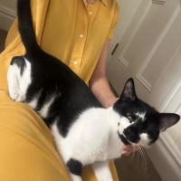 Photo of Bailey Junior