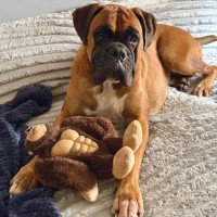Photo of Plato