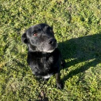Photo of Jet