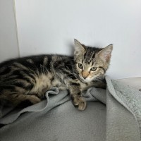 Photo of Monte