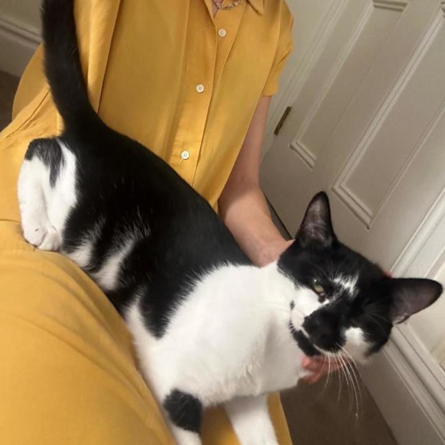 Photo of Bailey Junior