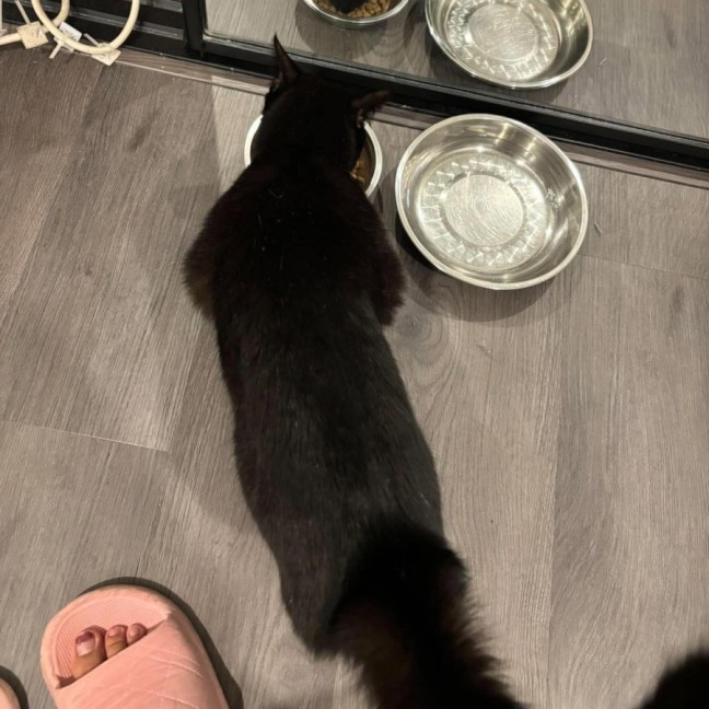 Photo of Jasper