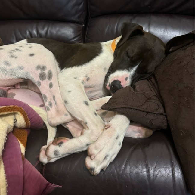 Photo of Bottletop Bill