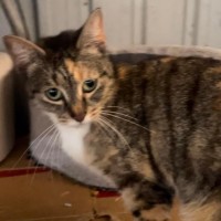 Photo of Cassie
