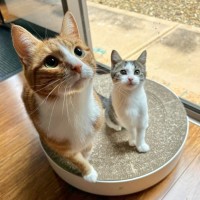 Photo of Lucky