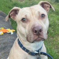 Photo of Zelus