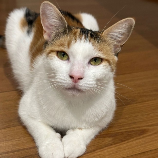 Photo of Princess