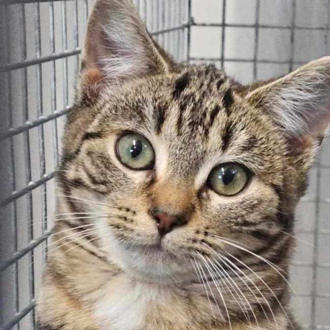 Photo of Sam Winchester