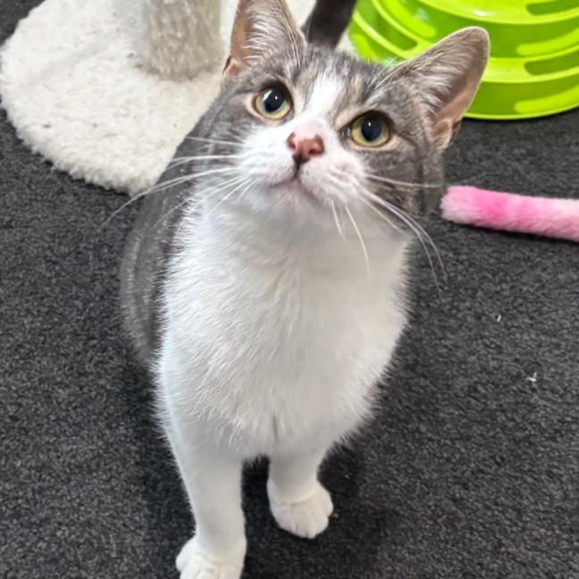 Photo of Sylvie 🌷