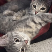 Photo of Maggie 🌈⭐️