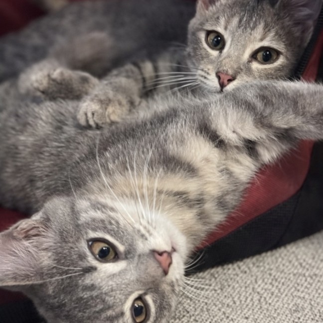 Photo of Maggie 🌈⭐️