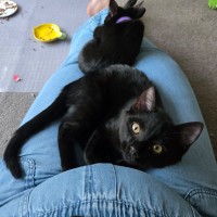 Photo of Cherry 🍒