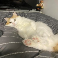 Photo of Wiggles 🐛