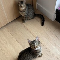 Photo of Nadia & Mishka 